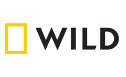 wild-logo-250x152