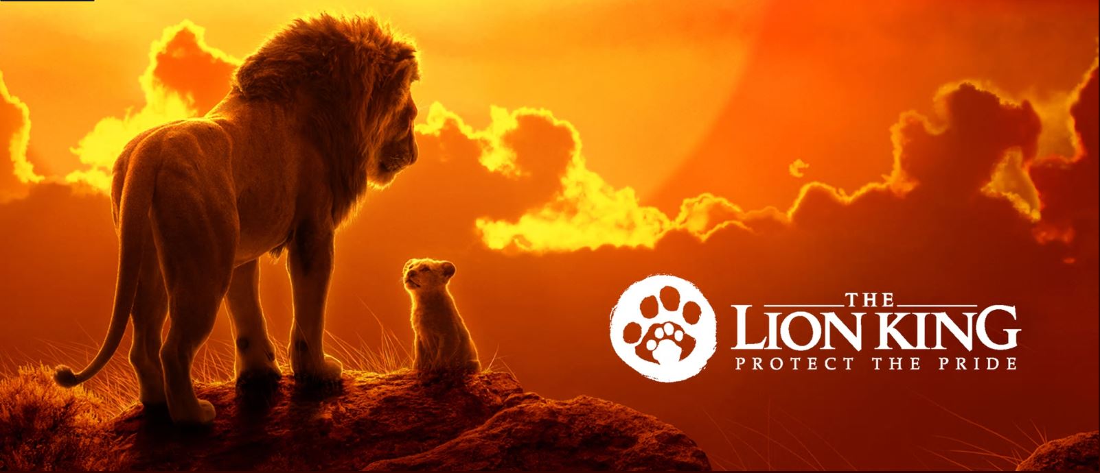 The Lion King Protect the Pride