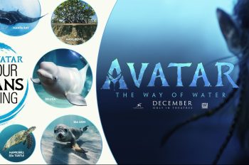 Disney and Avatar Announce Global “Keep Our Oceans Amazing” Campaign Ahead of 20th Century Studios’ Groundbreaking Film Avatar: The Way of Water 