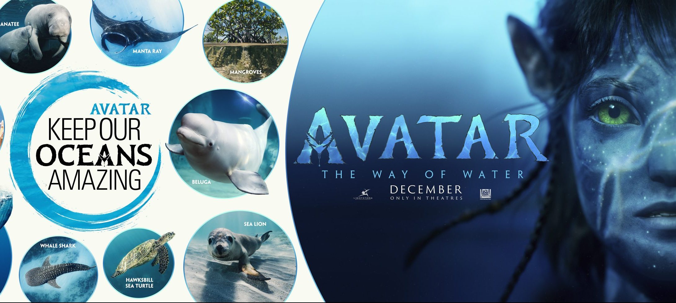 Disney and Avatar Announce Global “Keep Our Oceans Amazing” Campaign Ahead of 20th Century Studios’ Groundbreaking Film Avatar: The Way of Water 