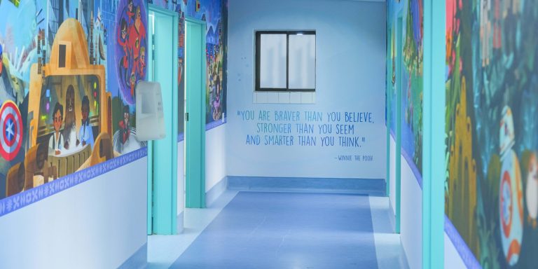 Disney Dream Room Murals